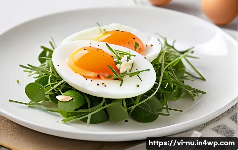 프랑스식 샐러드 만들기 관련 이미지 2